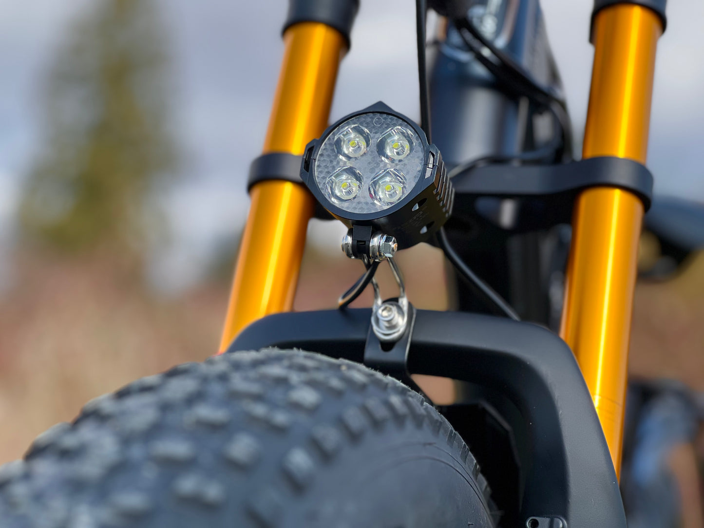 LANKELEISI | Vélo de montagne électrique RV700 Explorer