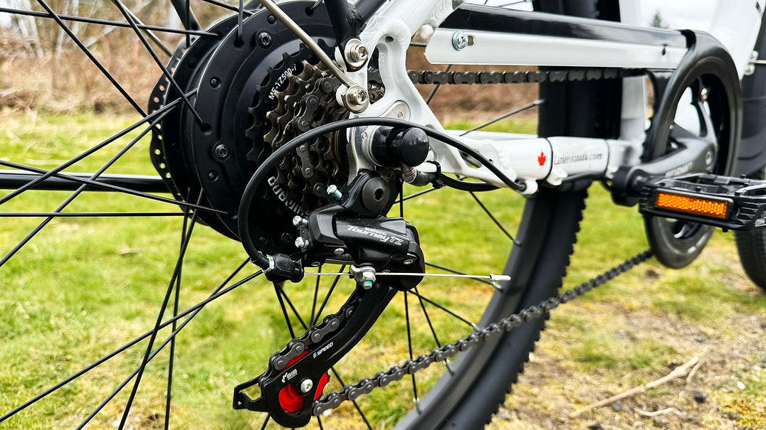 Lankeleisi | ES300 Step-thru 500w Rear hub motor 48v 12.8ah LG Removeable Battery E-bike