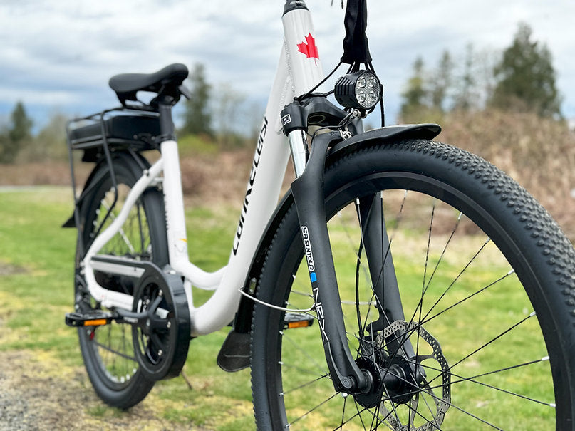 Lankeleisi | ES300 Step-thru 500w Rear hub motor 48v 12.8ah LG Removeable Battery E-bike