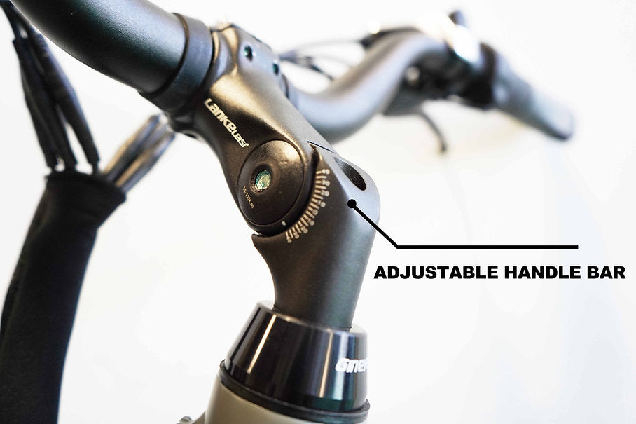 Lankeleisi | ES300 Step-thru 500w Rear hub motor 48v 12.8ah LG Removeable Battery E-bike